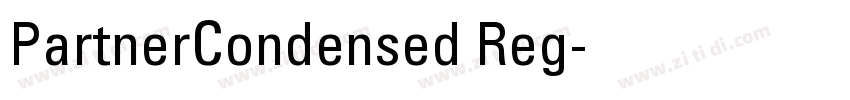 PartnerCondensed Reg字体转换